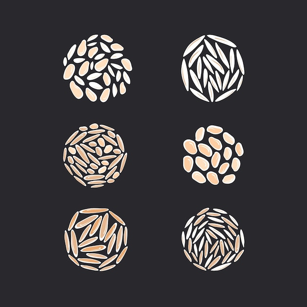 Rice texture set Vector cereals types in circle