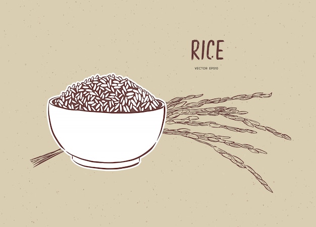 Вектор риса в миску с рисовой веткой