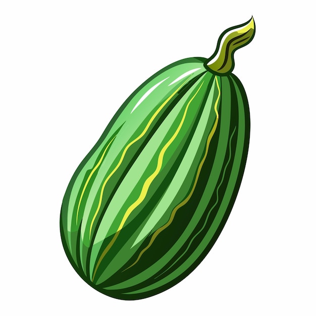 premium-vector-ridge-gourd-health-benefits-and-culinary-uses-explored