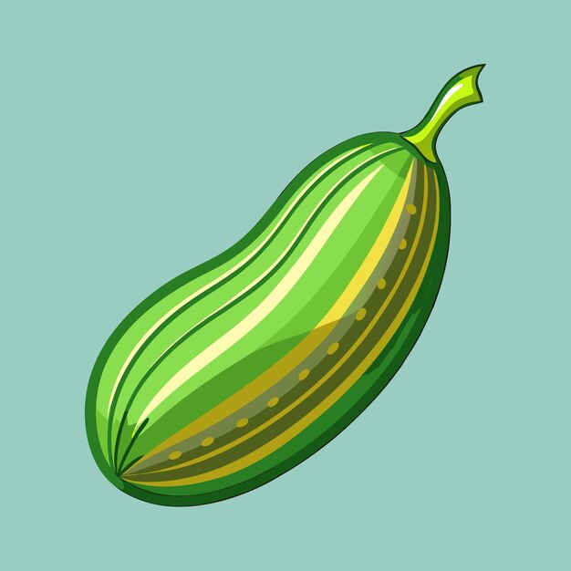 premium-vector-ridge-gourd-health-benefits-and-culinary-uses-explored