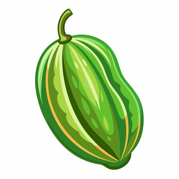 Premium Vector Ridge Gourd Health Benefits And Culinary Uses Explored premium-vector-ridge-gourd-health-benefits-and-culinary-uses-explored