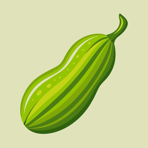 Premium Vector Ridge Gourd Health Benefits And Culinary Uses Explored premium-vector-ridge-gourd-health-benefits-and-culinary-uses-explored