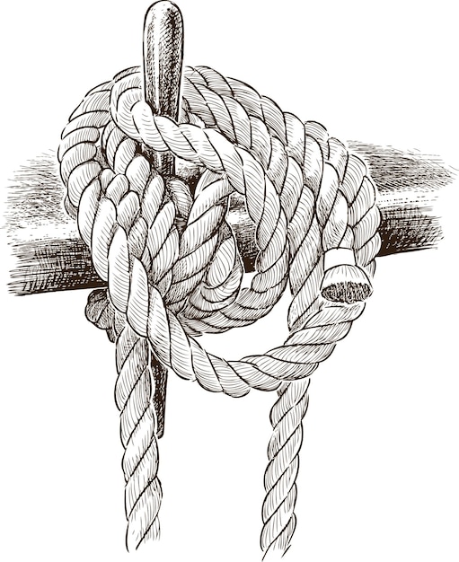 Vector rigging rope