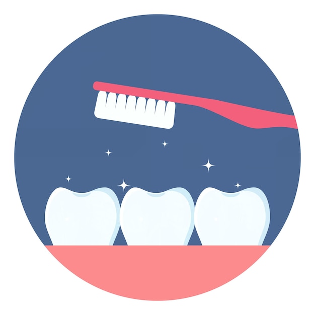 Rij van schone kiezen van menselijke tanden en een tandenborstel erboven Glanzende schone tanden Tandverzorgingsconcept