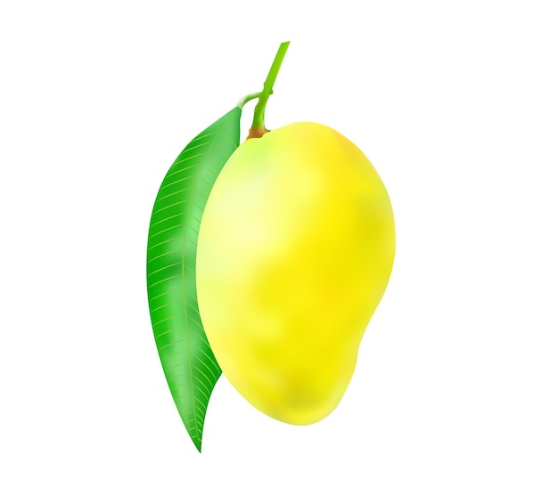 Rijke gele mango met blad