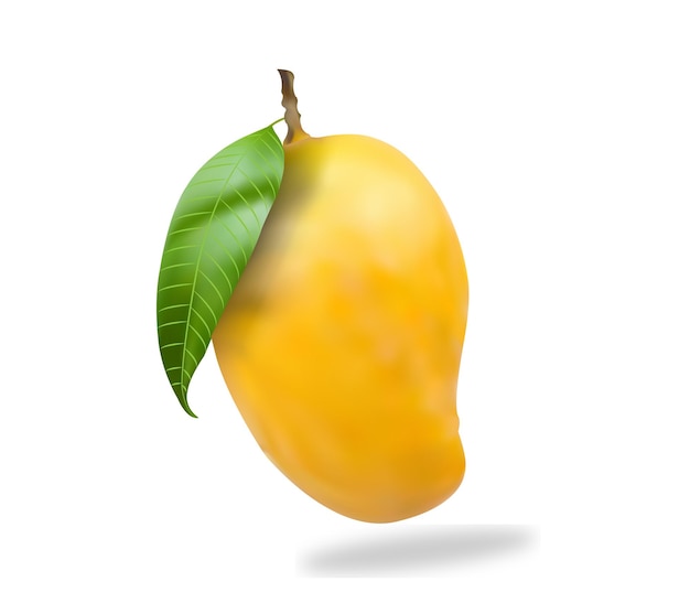 Rijke gele mango
