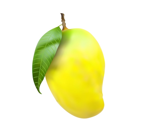 Rijke gele mango