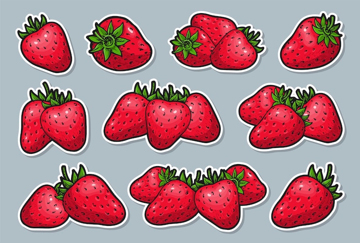 Vector rijpe aardbei stickerset realistische hele rode bessen groepen gezond zoet vers fruit cartoon stickers met contour voor kaartposter borduurpatch verpakking tag flyer embleem scrapbooking