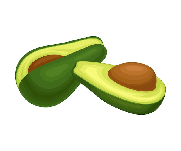 Rijpe avocado's met kern Front View Vector Voedsel geïsoleerd op witte achtergrond Exotisch voedsel in tweeën gesneden