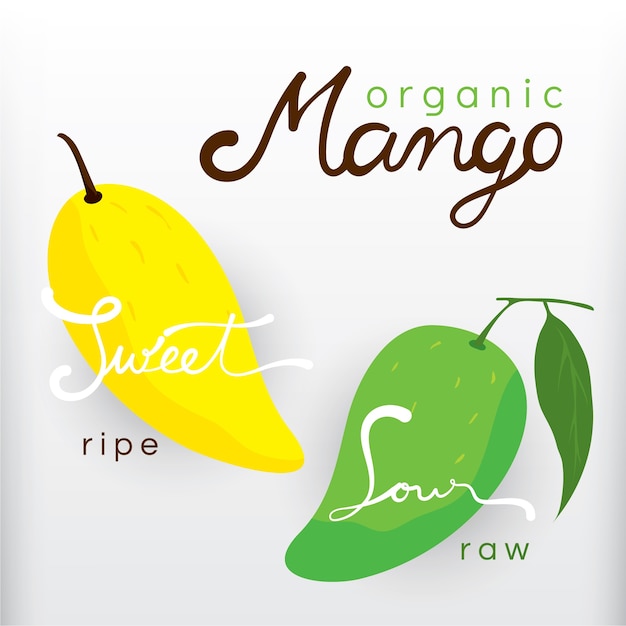 Rijpe en rauwe biologische mango&#39;s