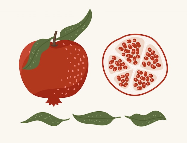 Rijpe granaatappel Fruit illustratie.