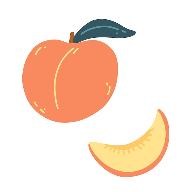 Vector rijpe perzik in cartoon vlakke stijl handgetekende vectorillustratie van vers, sappig fruit