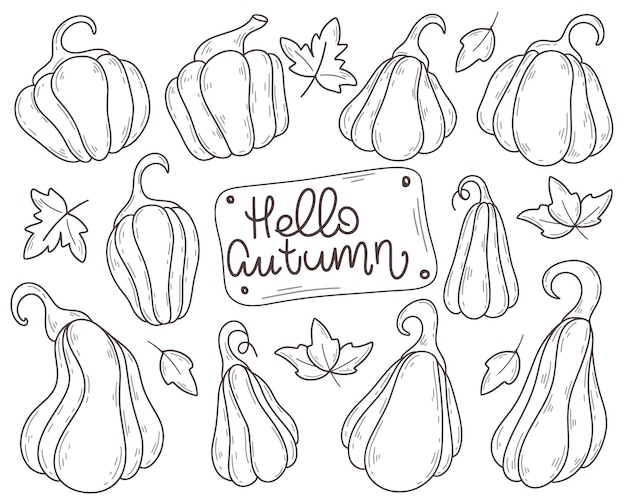 Rijpe pompoenen hand getekende set Herfst seizoensgroenten doodle schets stijl collectie