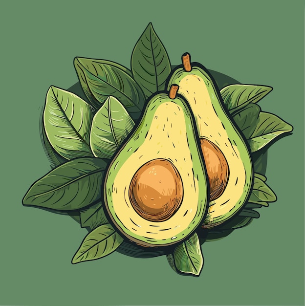 Rijpe sappige avocado vectorillustratie