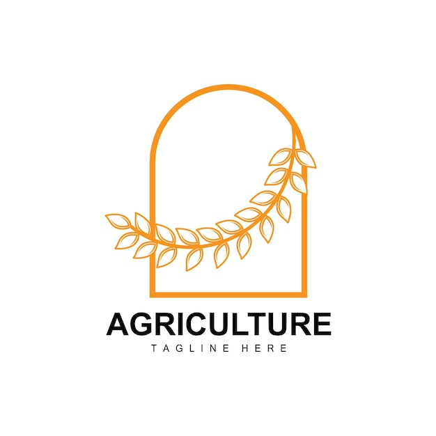 Rijst Logo Landbouw Ontwerp Vector Tarwe Rijst Pictogram Sjabloon Illustratie