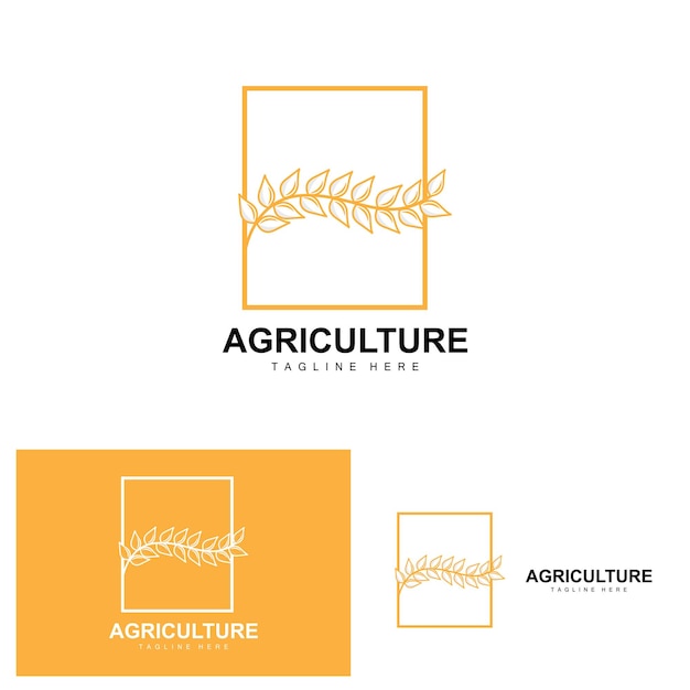 Rijst Logo Landbouw Ontwerp Vector Tarwe Rijst Pictogram Sjabloon Illustratie