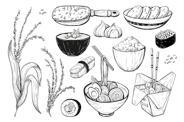 Rijst vector icon set in schets stijl Verzameling van iconen van rijst producten noedels sushi pap