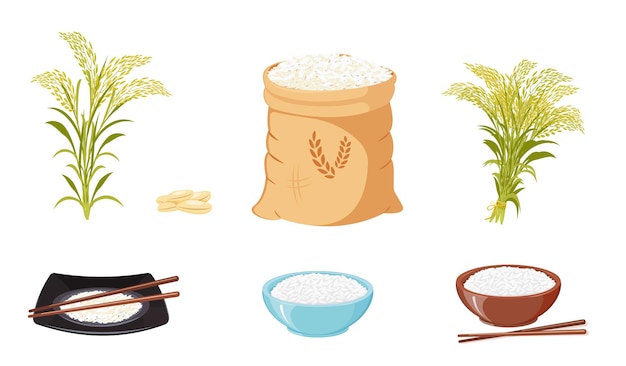 Vector rijstproducten zaden en gebruik van afgewerkte gewassen rijstschoven en stengels opslag van granen in canvas ba