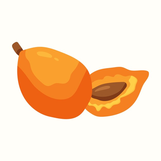 Ripe apricot. Vector illustration in flat style