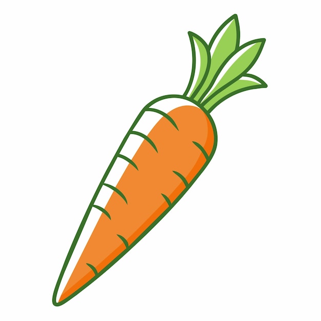 A ripe carrot with vibrant green leaves on top A simple outline drawing of a carrot with subtle shading Simple and minimalist flat Vector Illustration
