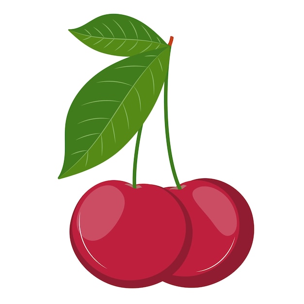 Ripe cherry. Cherry with leaves. Cherry illustration on the white background