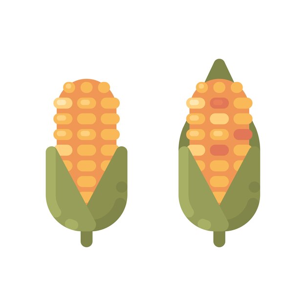 Vector ripe corn flat icons