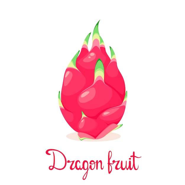 Ripe dragon fruit on a white background. Cartoon design.