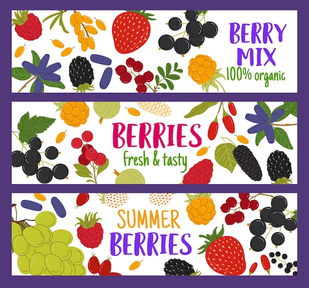 Ripe forest and garden berries Vector horizontal cards with grapes blackberry mulberry strawberry and cloudberry Black currant sea buckthorn birds cherry and raspberry honeyberry or cranberry