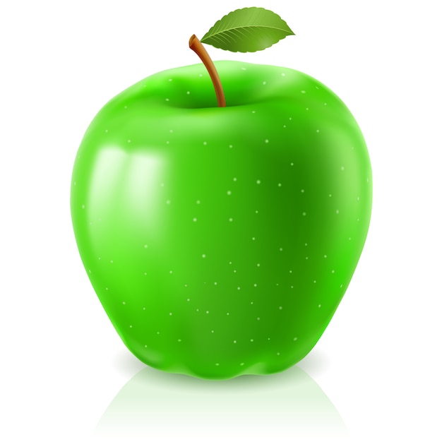 Vector ripe green apple