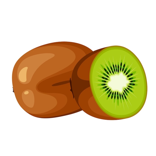 Ripe kiwi on a white background. cartoon design.