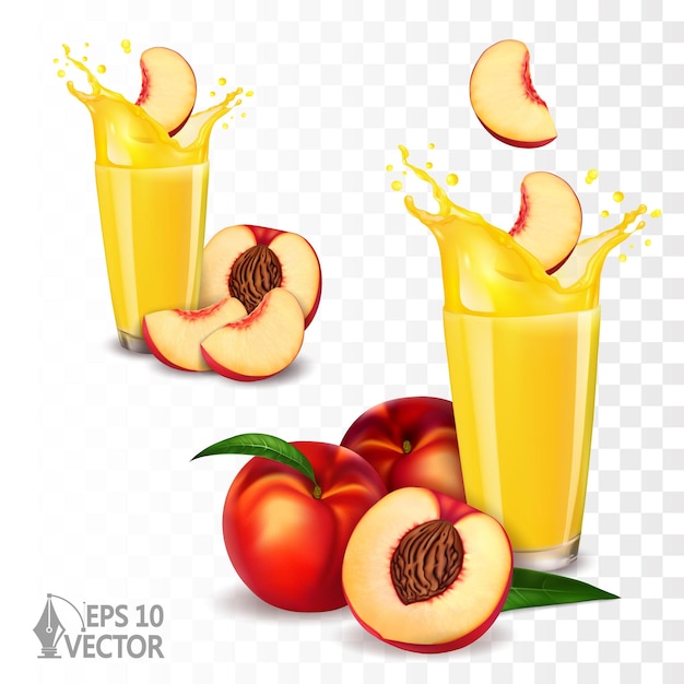 Ripe nectarines peaches juicy fruits slices and transparent splashes realistic vector illustration