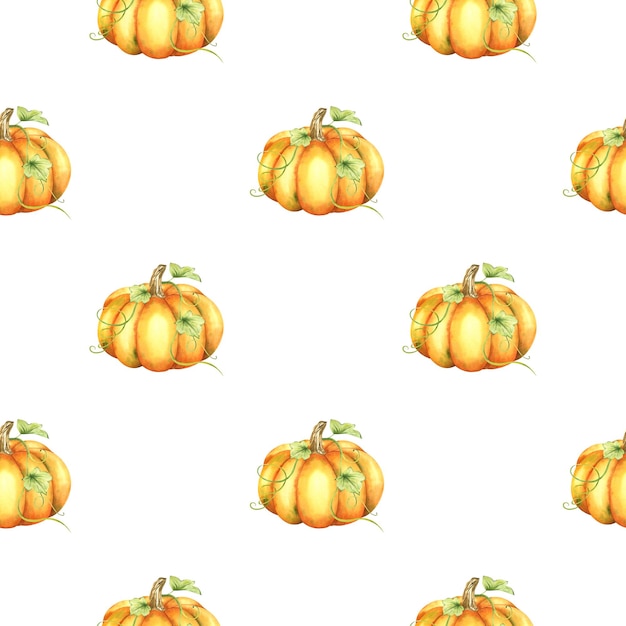 ripe orange and green pumpkins and leaves farm organic autumn vegetables watercolor seamless pattern
