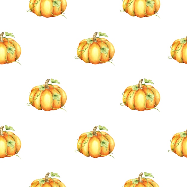 Ripe orange and green pumpkins and leaves Farm organic autumn vegetables Watercolor seamless pattern