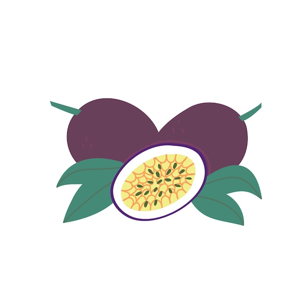 Ripe passion fruit Cartoon illustration of an exotic fruit on a white isolated background Handdrawn organic food Tropical treats The concept of healthy eating