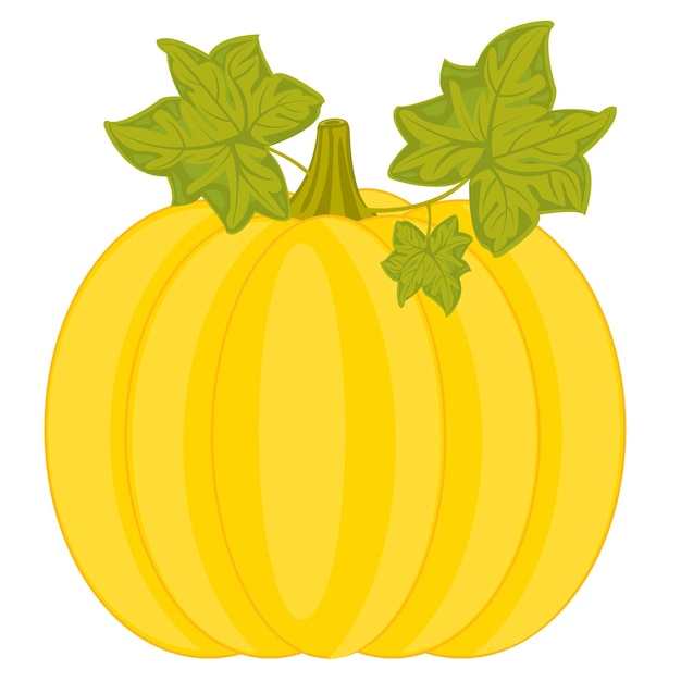 Ripe pumpkin