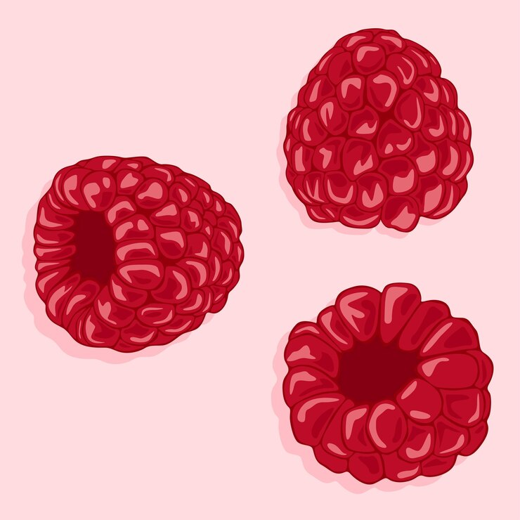Vector ripe raspberries from different angles