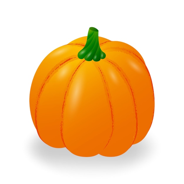 Ripe realistic round pumpkin. Isolated on a white background. Vector illustration.