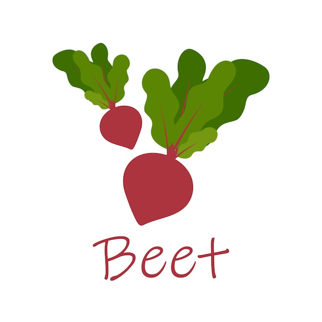 Ripe red beets with green leaves Card banner sticker poster print Vector illustration