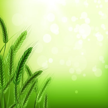 Agricultural Background Images - Free Download on Freepik