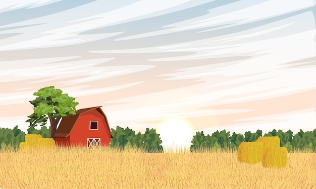 Ripe wheat field and red barn Agriculture and growing cereals Realistic vector landscape