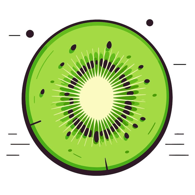 Vector ripe whole kiwi fruit and half kiwi fruit vector illustration