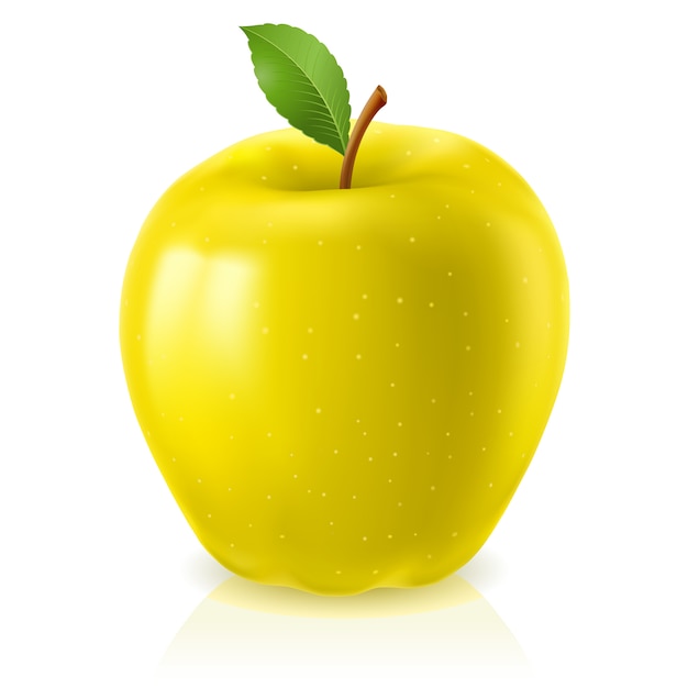 Vector ripe yellow apple