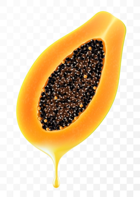 Ripe yellow papaya with fresh juice Papaya juice dripping from papaya half with seeds illustration