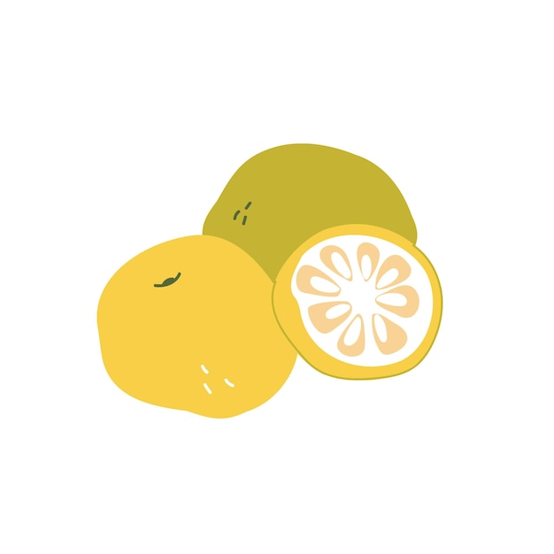 Ripe yuzu fruit cartoon illustration of a yellow fruit on a white isolated background handdrawn organic food products sour citrus fruit from asia the concept of healthy eating