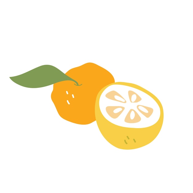 Frutta yuzu matura cartoon illustrazione di un frutto giallo su sfondo bianco isolato prodotti alimentari biologici disegnati a mano agrumi acidi dall'asia il concetto di un'alimentazione sana