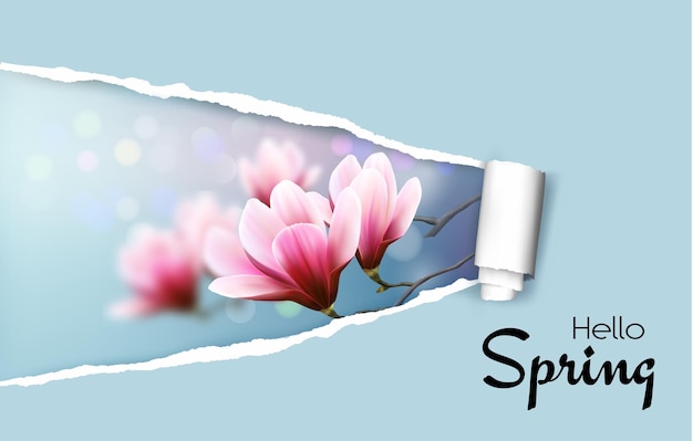 春の花のマグノリアの枝を明らかにする手紙の背景にリッピングベクトル