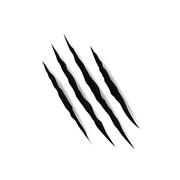 Vector ripped damaged texture from animal paw trail from four nails scratches isolated bloody trace vector black claws animal scrape track cat tiger scratches paw shape halloween design element