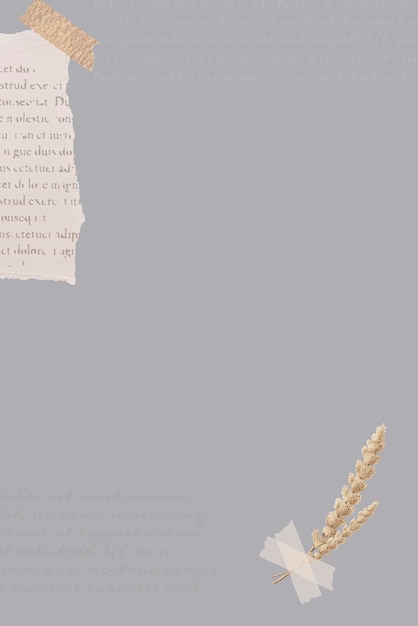 Vector ripped newspaper and flower stem on gray banner vector