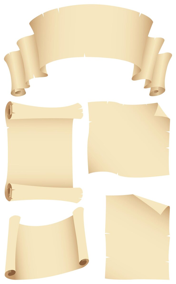 Vector ripped old paper banners and blank scroll manuscripts
