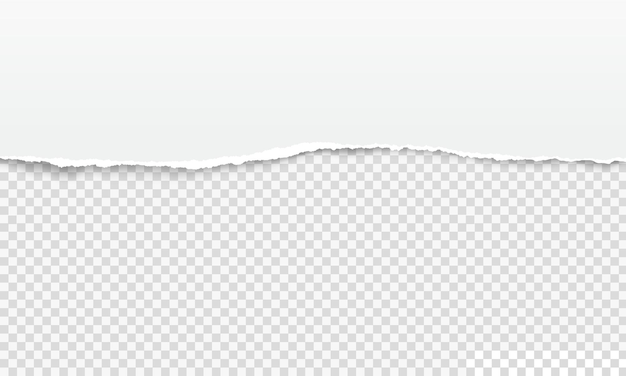 破れた紙の端、白い破れたページストリップ。現実的な水平のぼろぼろのノートブックシート、透明なベクトルの背景にボロボロの紙のエッジ。破損したページの境界線、スクラップブッキング要素